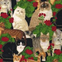 multi-color cat fabric