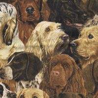 dog fabric