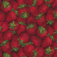 strawberries fabric