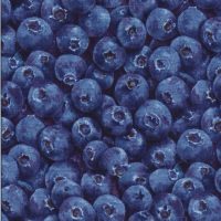 blueberry fabric