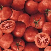 tomato fabric