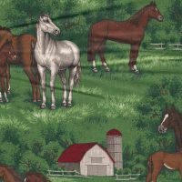 horse with barn fabric