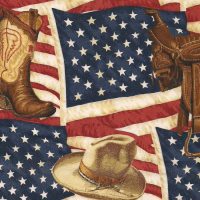 4th of july american flag fabric