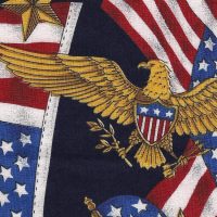 4th of july patriotic fabric