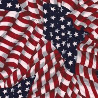 patriotic flag fabric